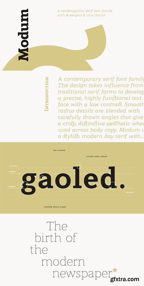 Modum Font Family - 16 Fonts $624