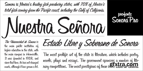 Sonora Pro Font Family - 6 Fonts $294