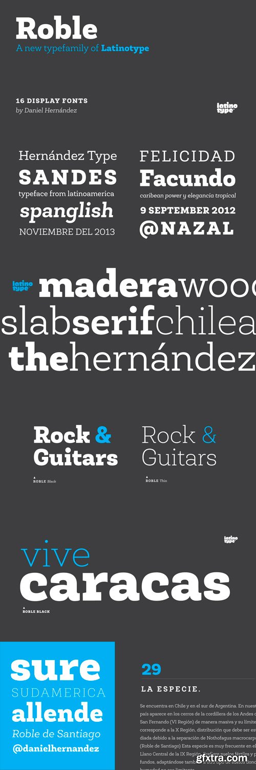 Roble Font Family - 16 Fonts for $126