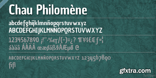 Chau Philomne Font Family - 2 Fonts for $20