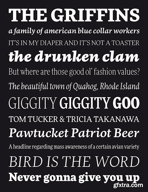 FF More Font Family - 24 Fonts 859€