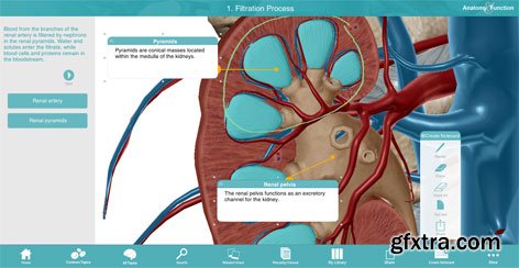 Visible Body Anatomy and Function 1.2.07