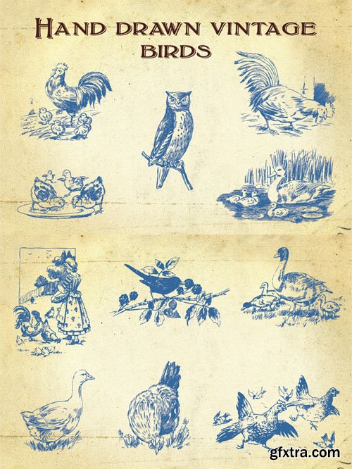 Hand Drawn Vintage Birds