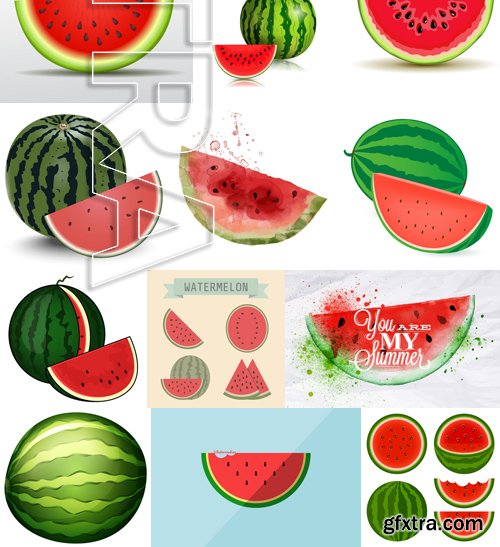 Stock Vectors - Watermelon 2, 25xEPS