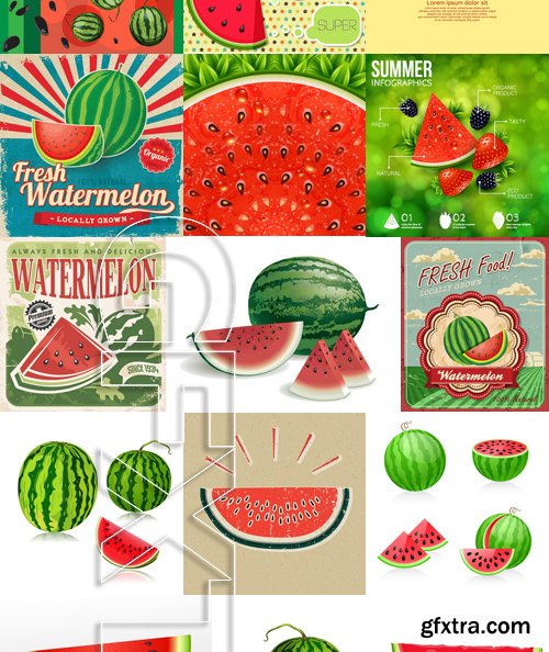 Stock Vectors - Watermelon 2, 25xEPS