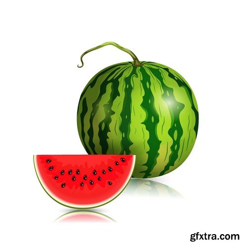 Stock Vectors - Watermelon 2, 25xEPS