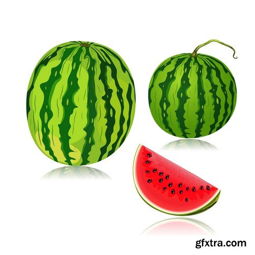 Stock Vectors - Watermelon 2, 25xEPS