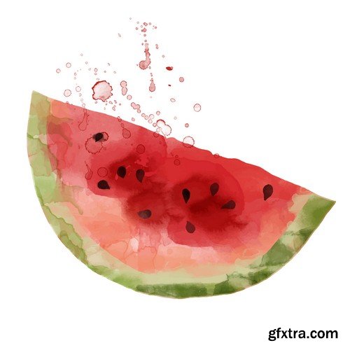 Stock Vectors - Watermelon 2, 25xEPS