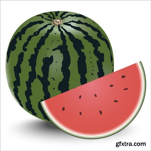 Stock Vectors - Watermelon 2, 25xEPS