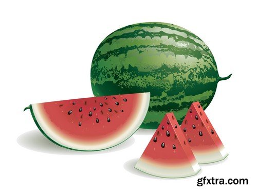 Stock Vectors - Watermelon 2, 25xEPS