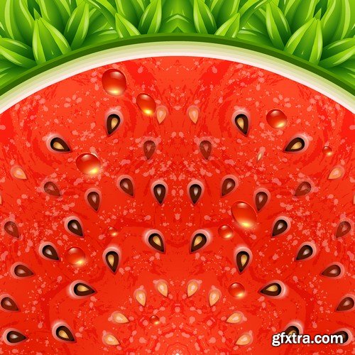 Stock Vectors - Watermelon 2, 25xEPS