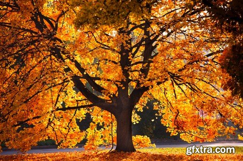 Stock Photos - Autumn scenery, 25xJPG