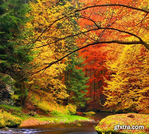 Stock Photos - Autumn scenery, 25xJPG