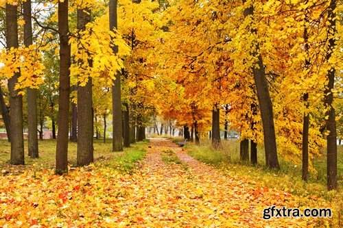 Stock Photos - Autumn scenery, 25xJPG