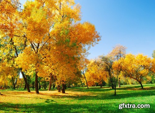 Stock Photos - Autumn scenery, 25xJPG