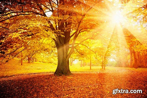 Stock Photos - Autumn scenery, 25xJPG