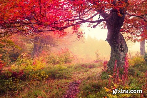 Stock Photos - Autumn scenery, 25xJPG