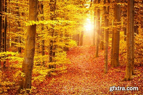 Stock Photos - Autumn scenery, 25xJPG