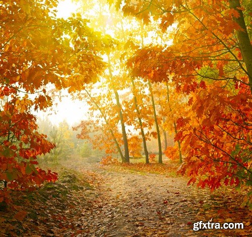 Stock Photos - Autumn scenery, 25xJPG