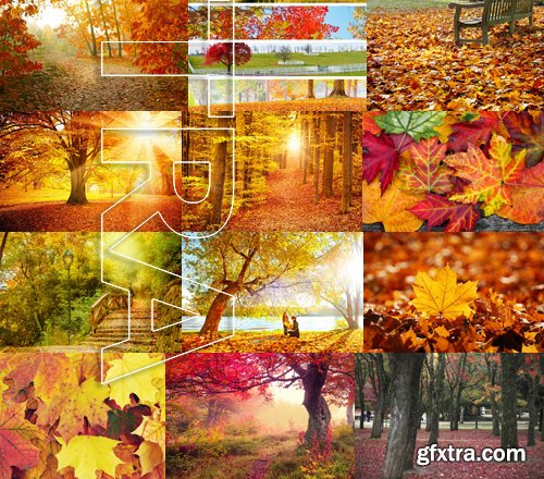 Stock Photos - Autumn scenery, 25xJPG