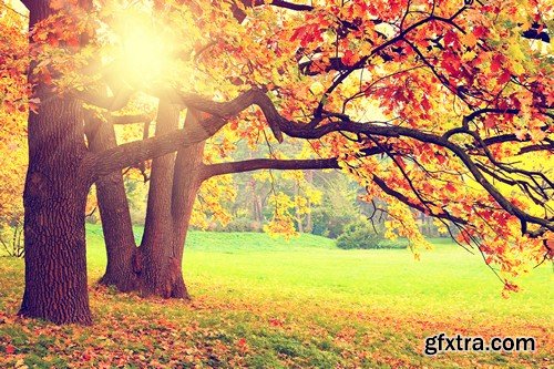 Stock Photos - Autumn scenery, 25xJPG