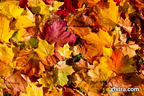 Stock Photos - Autumn scenery, 25xJPG