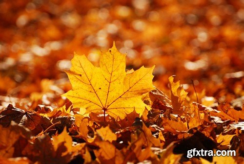 Stock Photos - Autumn scenery, 25xJPG