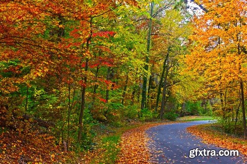 Stock Photos - Autumn scenery, 25xJPG