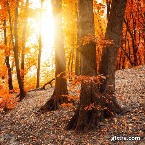 Stock Photos - Autumn scenery, 25xJPG