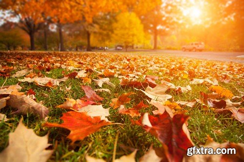 Stock Photos - Autumn scenery, 25xJPG