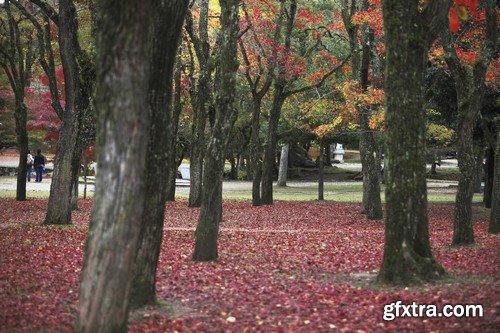 Stock Photos - Autumn scenery, 25xJPG