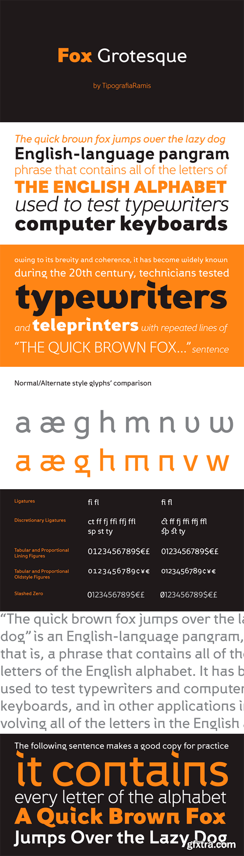 Fox Grotesque Font Family - 12 Fonts for $200