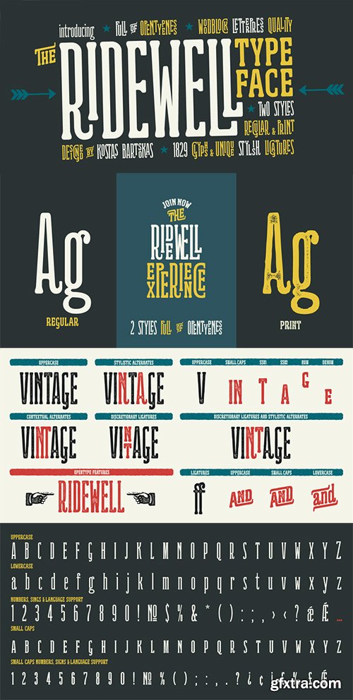 Ridewell Font Family - 2 Fonts 75$