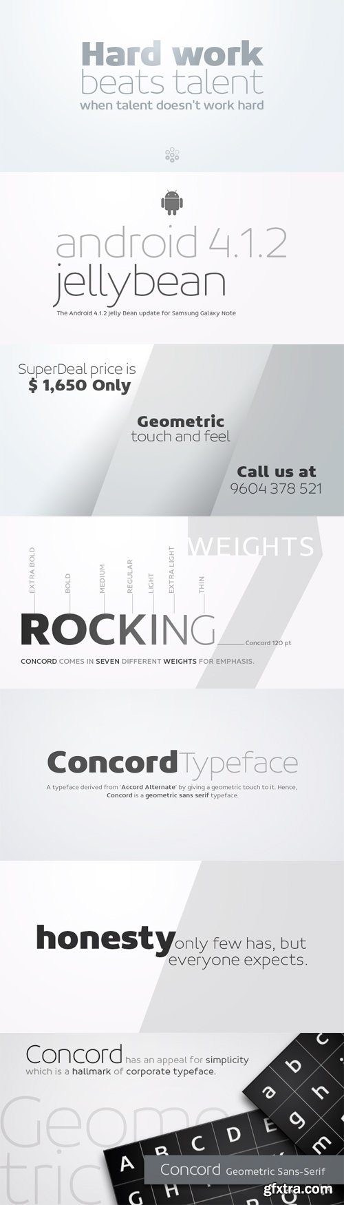 Concord Font Family - 7 Fonts for $525