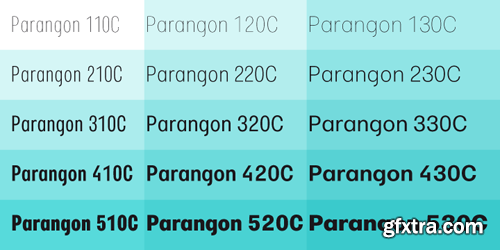 Parangon Font Family - 15 Fonts for $225