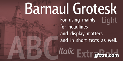 Barnaul Grotesk Font Family - 8 Fonts for $120