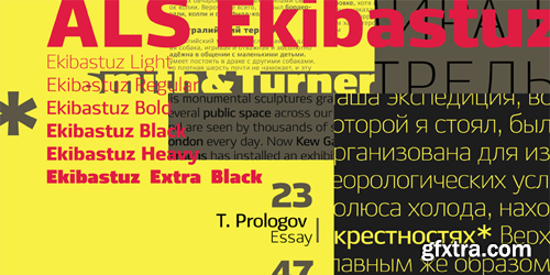 Ekibastuz Font Family - 6 Fonts for $324