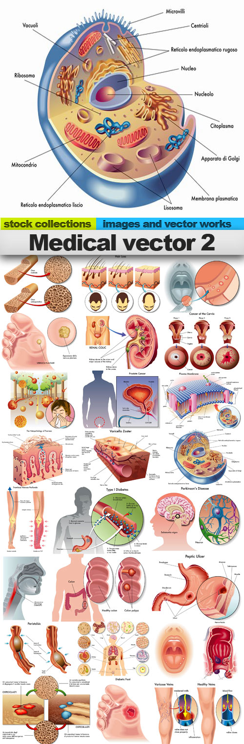 Medical vector 2,