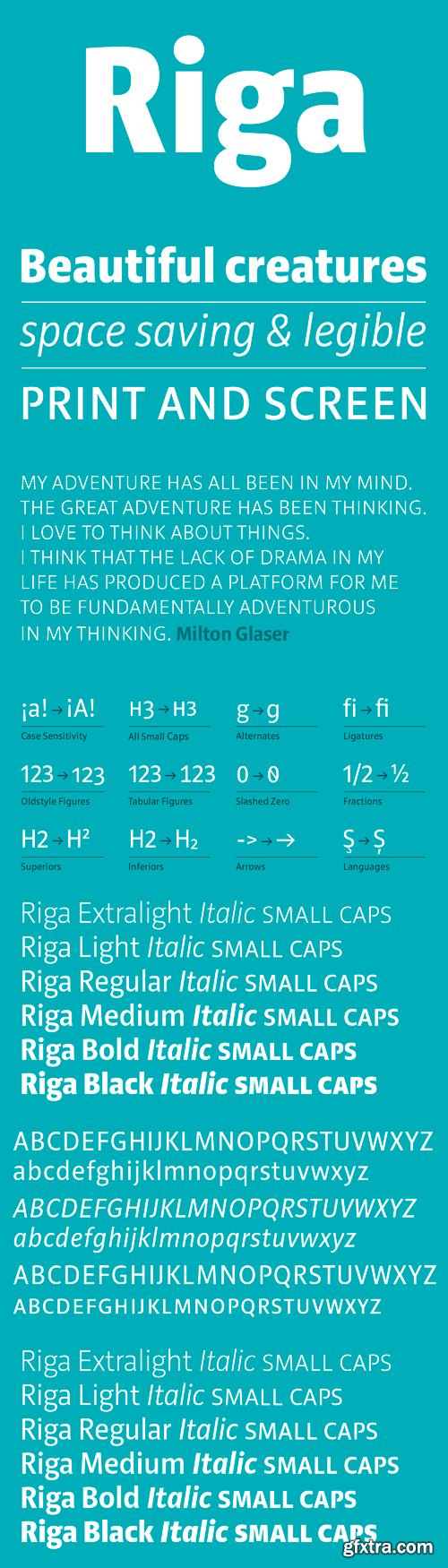 Riga Font Family - 18 Fonts for $449