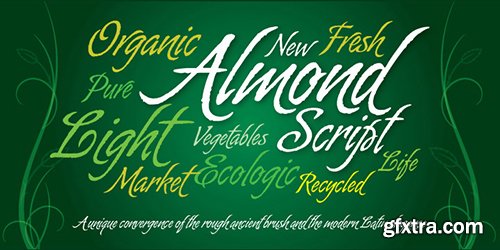 Almond Script Font - 1 Font 79$