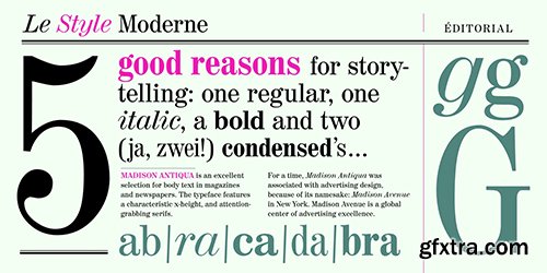 Madison Antiqua Pro Font Family - 5 Fonts 175$