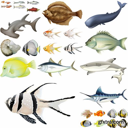 Fish Collection #2 - 25 Vector