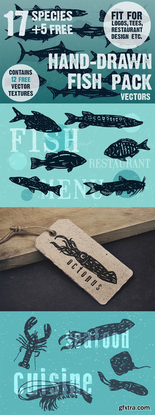 Hand Drawn Fish Vectors