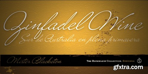 Mr Blaketon Font for $45