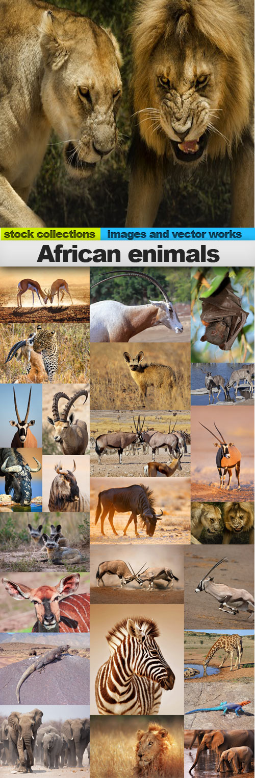 African enimals,25 x UHQ JPEG