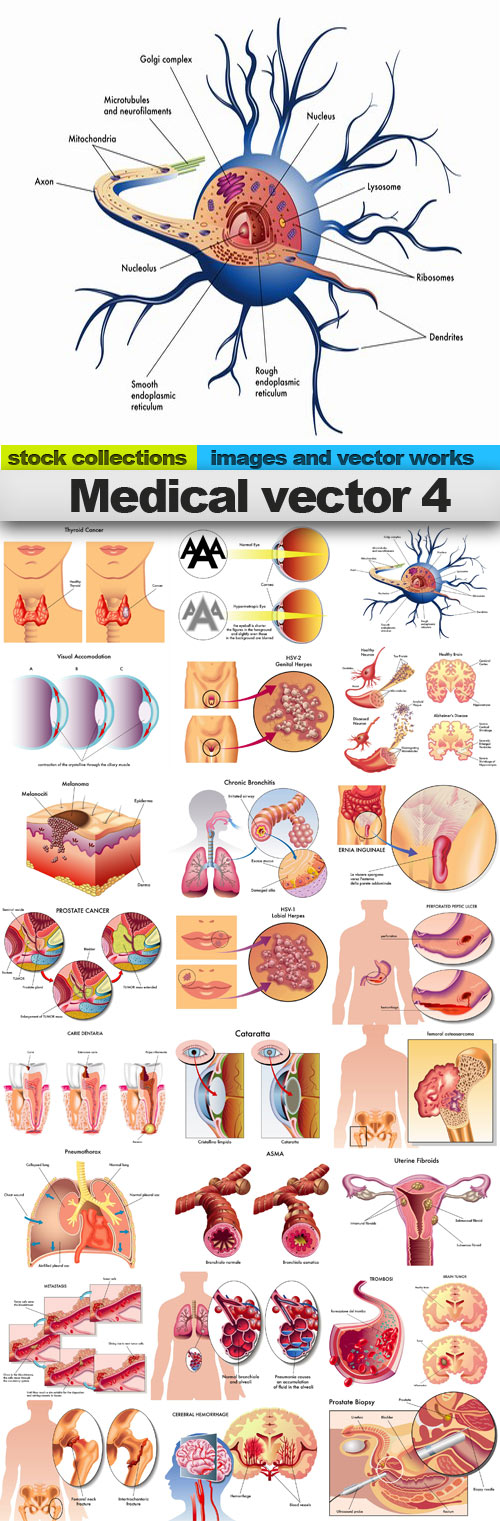 Medical vector 4,25 x EPS