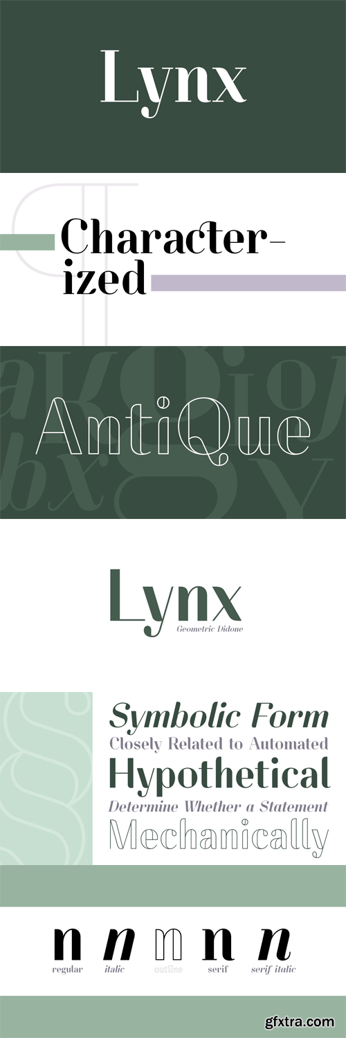 Lynx Font Family - 5 Fonts for $106