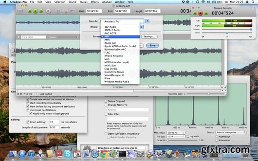 Amadeus Pro 2.1.7 Multilingual MacOSX