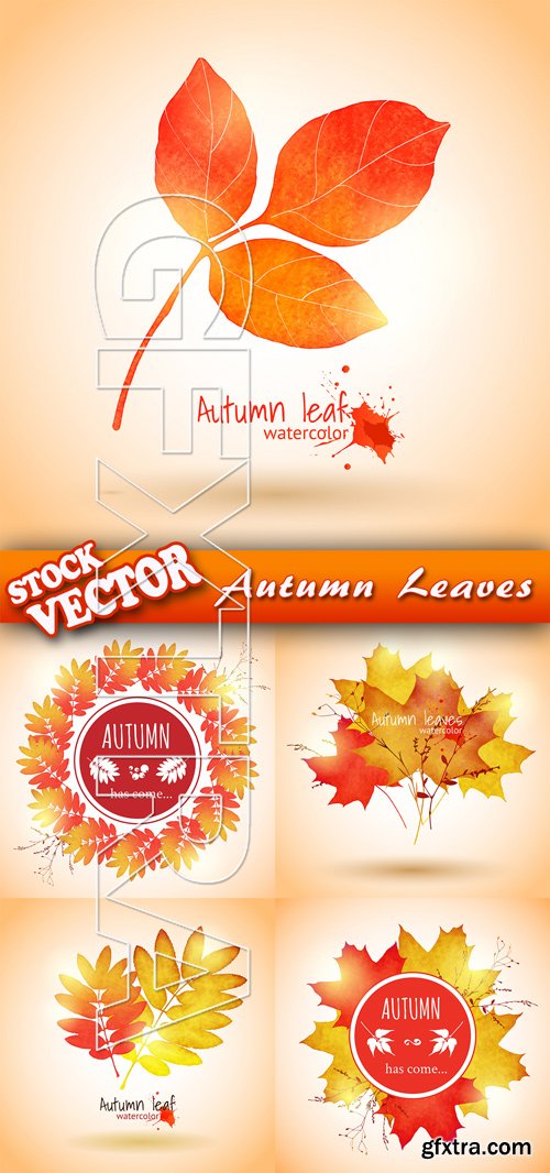 Stock Vector - Autumn Leaves