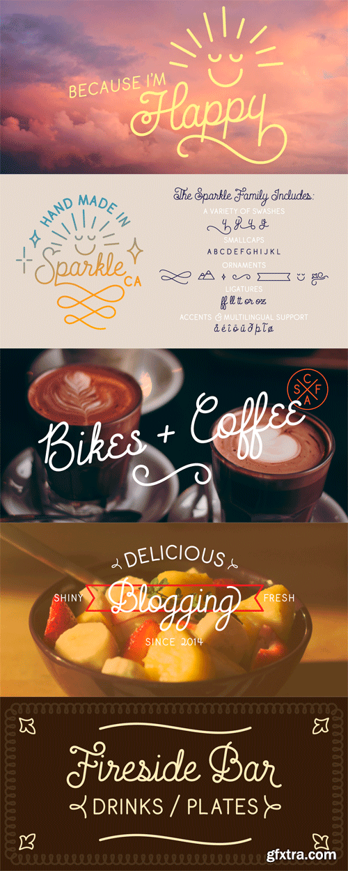 Sparkle Script Font Family - 2 Fonts for $45